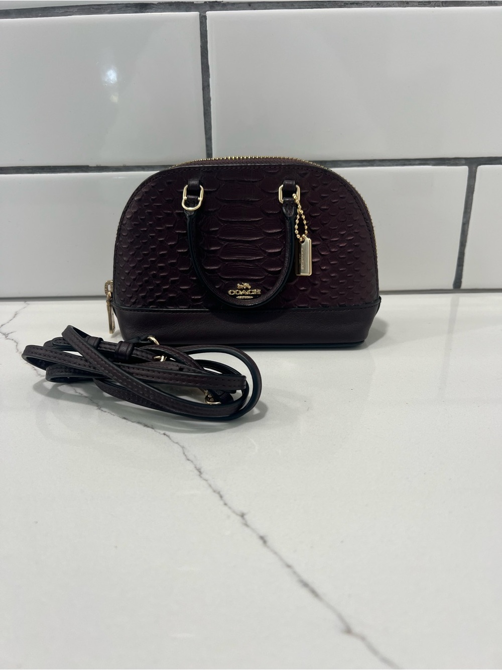 Coach Mini Dome Crossbody in Burgundy with Gold Hardware
